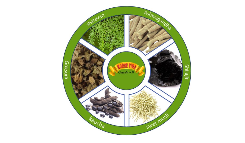 Ayurvedic Medicine for long-lasting In bed