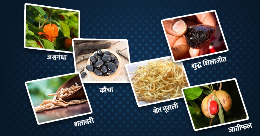 Ayurvedic Medicine for long-lasting In bed