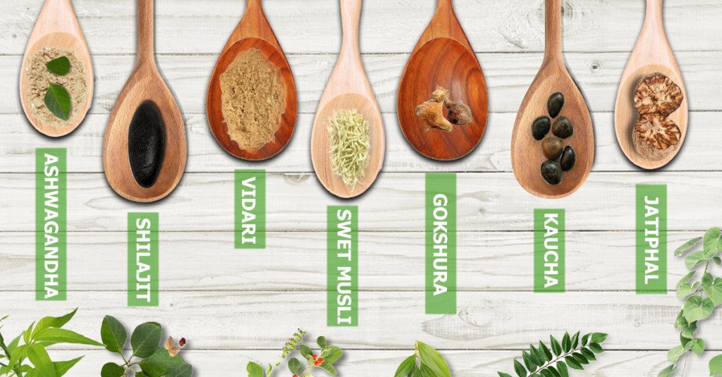 Ayurvedic Medicine for long-lasting In bed