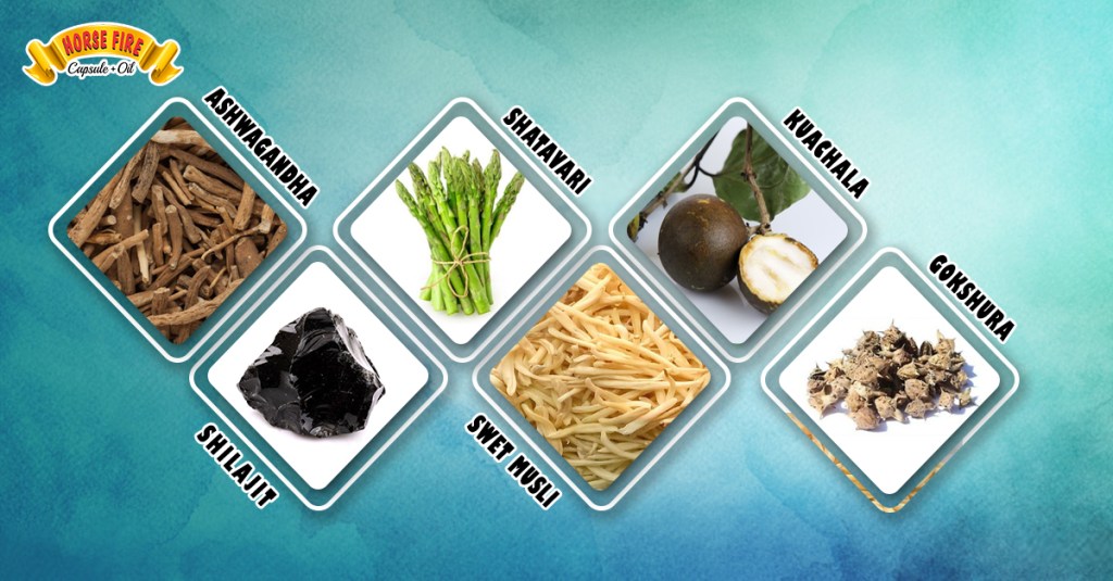 Ayurvedic Medicine for long-lasting In bed