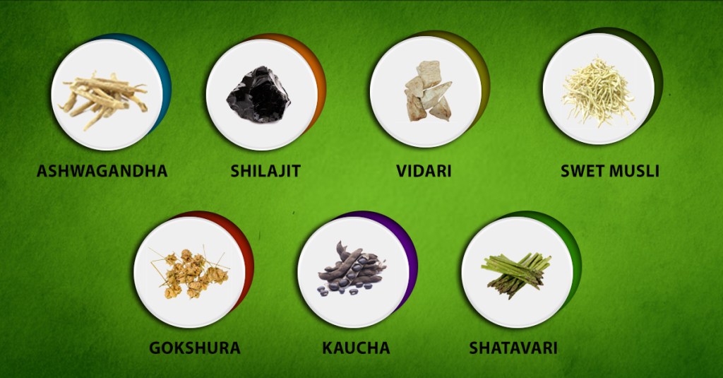 Sexual Stamina Supplements For Male Enhancement