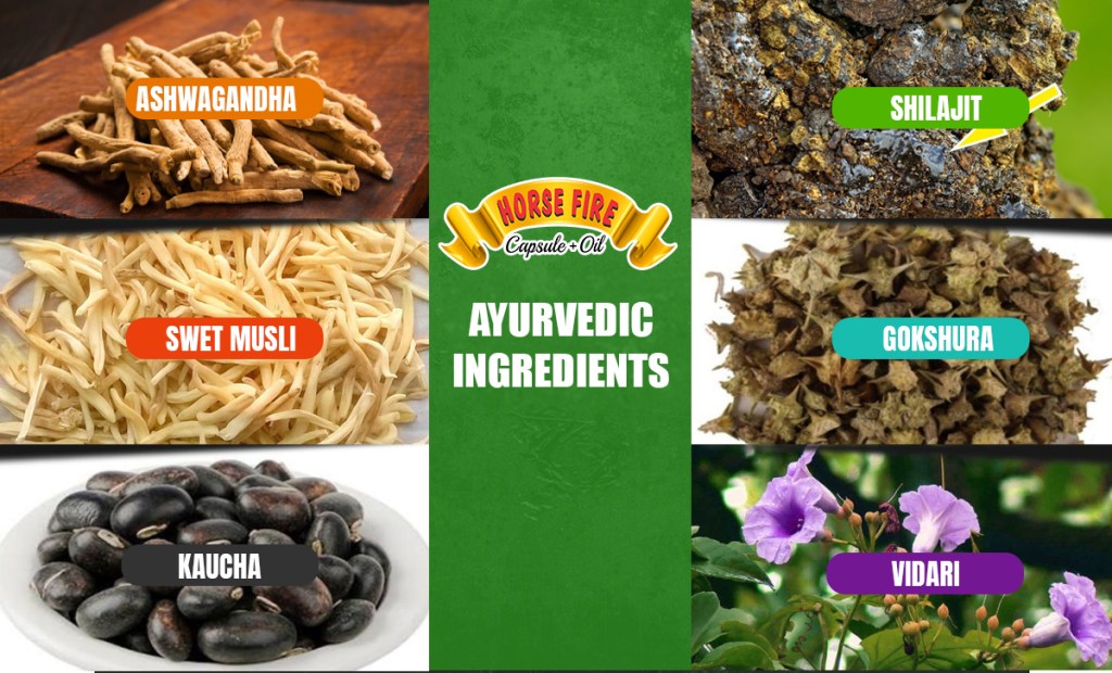 Ayurvedic Medicine For Long-Lasting In Bed