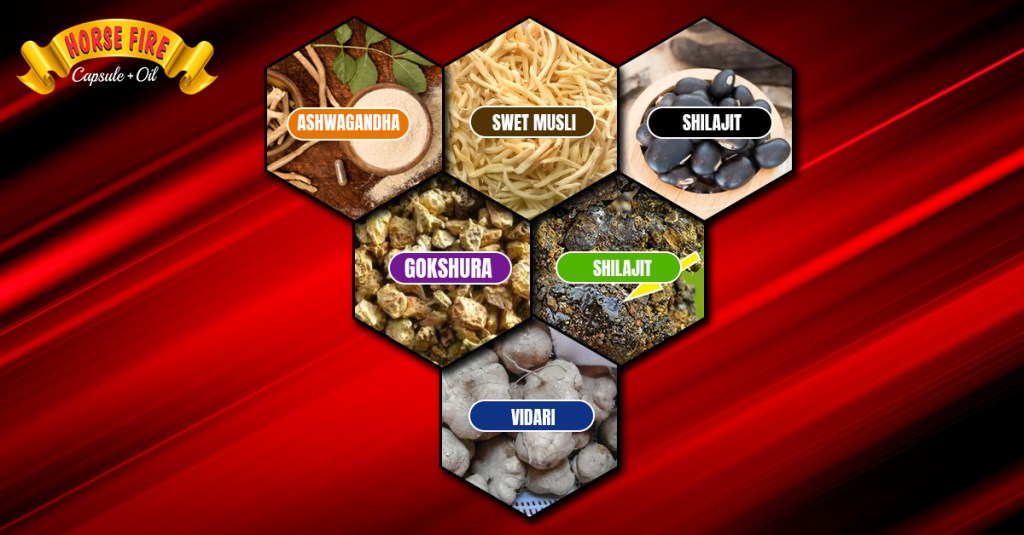 Ayurvedic Medicine For Long-Lasting In Bed