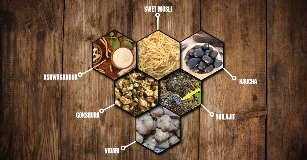 Ayurvedic Medicine For Long-Lasting In Bed