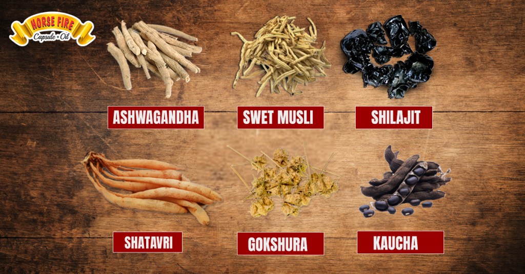 Ayurvedic Medicine For Long-Lasting In Bed