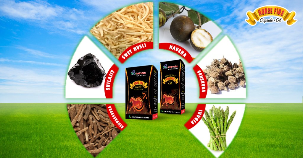 Ayurvedic Medicine for long-lasting In bed