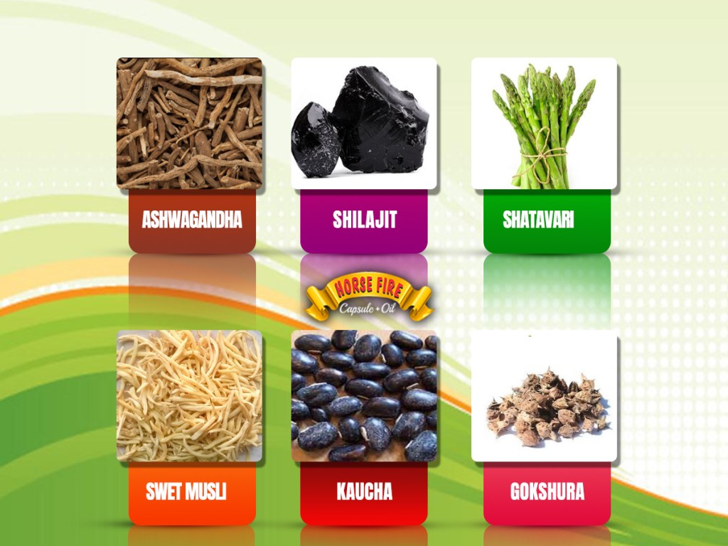 Best Sex Stamina Capsule